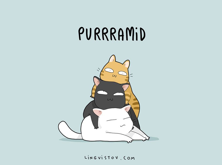 cute-illustrated-cat-puns-lingvistov-7