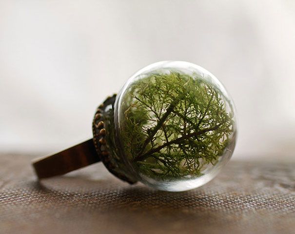globe-verre-terrarium-anneaux-designs-11