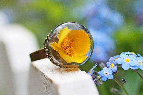 стъклен глобус-терариум-пръстен-дизайни-13