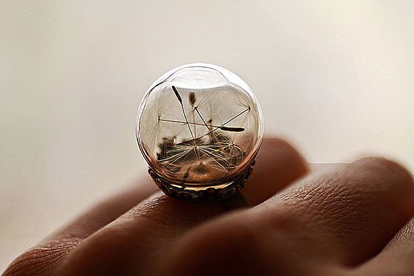globo-terrário-anel-designs-9 de vidro