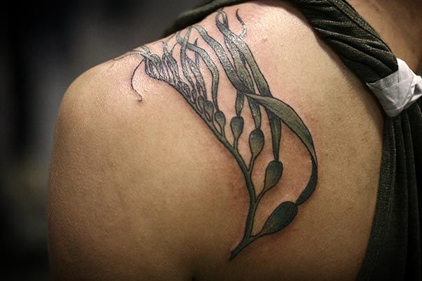 татуировки-цветы-растения-ботанические-алиса-носительница-29