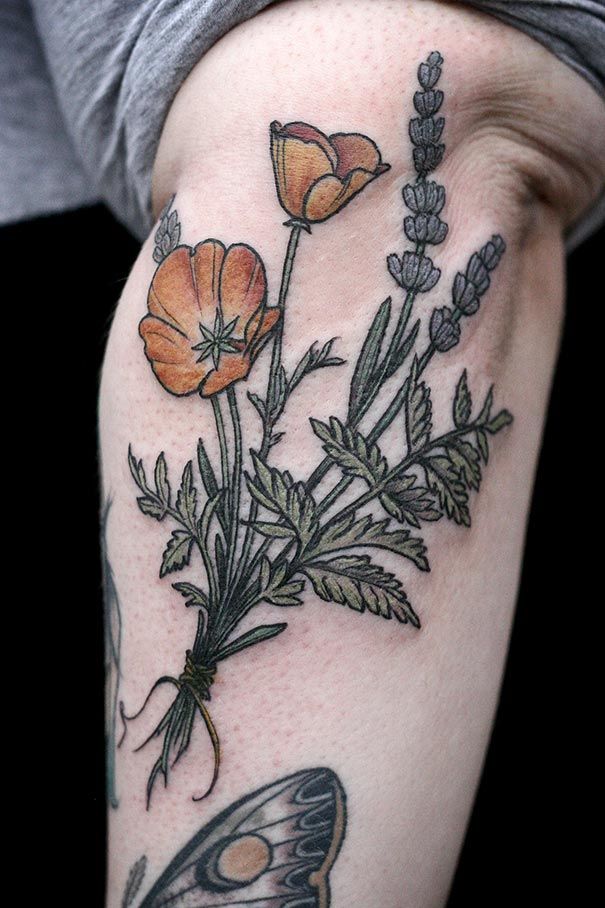 λουλούδι-φυτό-βοτανικό-τατουάζ-alice-φορέα-77
