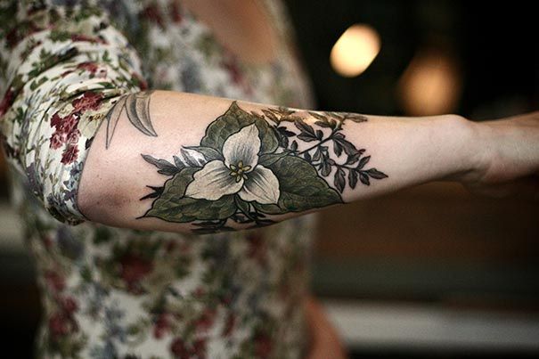 61. ziedu augs-botāniskais tetovējums-alises nesējs