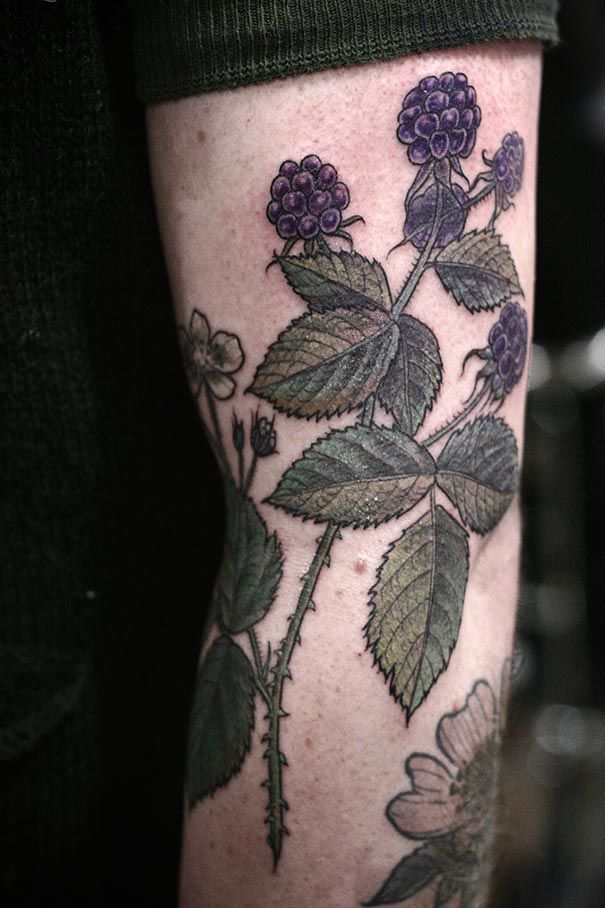 ziedu-augu-botāniskais-tetovējums-alises-nesējs-53