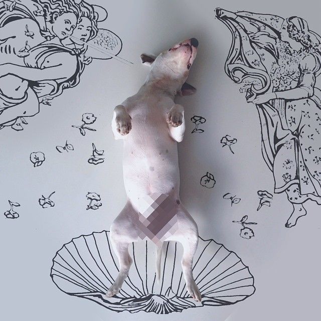 jimmy-choo-bull-terrier-interactive-ilustrasi-rafael-mantesso-12