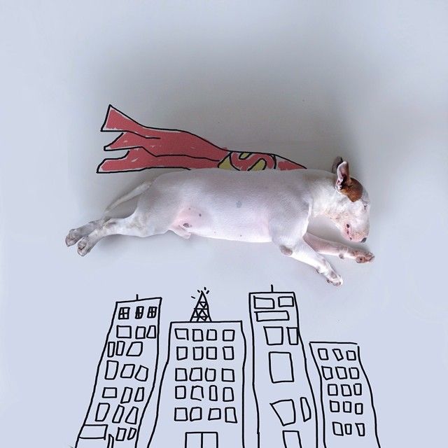 jimmy-choo-bull-terrier-interactive-illustrations-rafael-mantesso-2