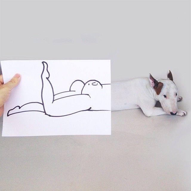 Jimmy-Choo-Bull-Terrier-interaktive-Illustrationen-Rafael-Mantesso-3