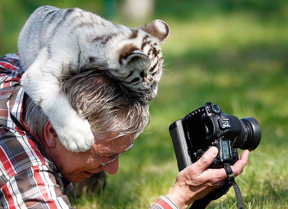 gamtos fotografas-užkulisiai-gyvūnai-28