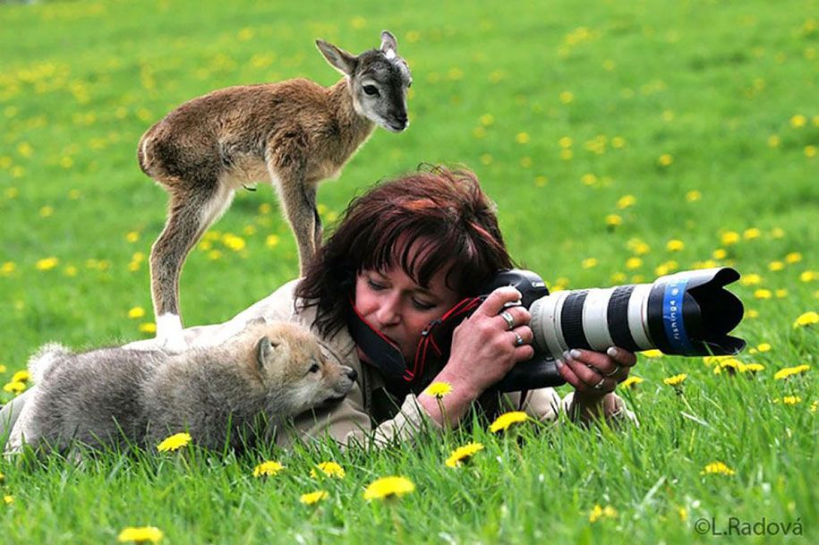 prírodný fotograf-zákulisie-zvieratá-22