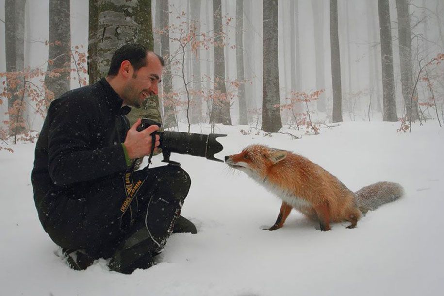 doğa-fotoğrafçısı-sahne arkası-hayvanlar-16
