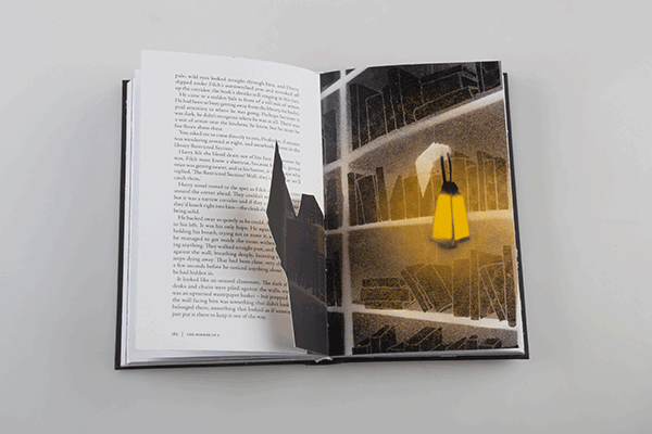 हैरी-कुम्हार-चमक-इन-द-अंधेरे पुस्तक डिजाइन-kincso-नागी-14