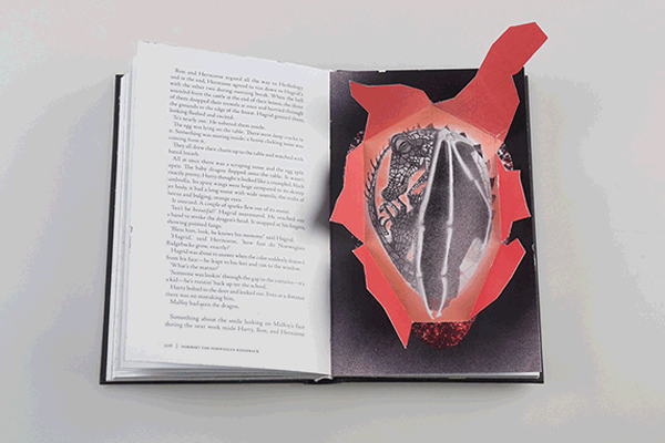 हैरी-कुम्हार-चमक-इन-द-अंधेरे पुस्तक डिजाइन-kincso-नागी-13