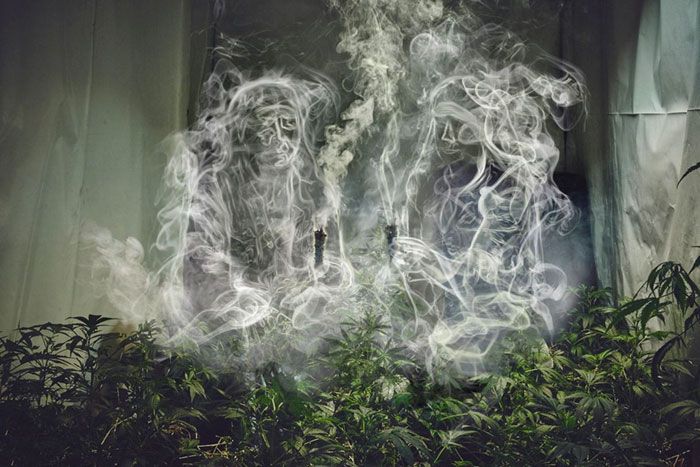 photoshop-trolls-weed-smoking-monges-8