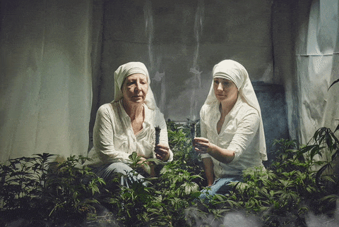photoshop-trolls-weed-smoking-nuns-12