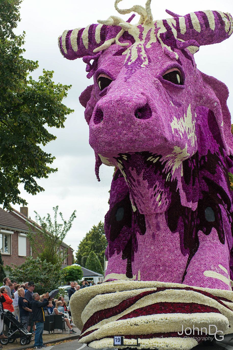 гигант-цветок-скульптура-парад-корсо-зундерт-2016-Нидерланды-11