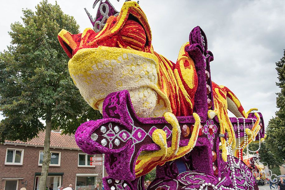 विशाल-फूल-मूर्तिकला-परेड-कोर्सो-Zundert-2016-नीदरलैंड-28
