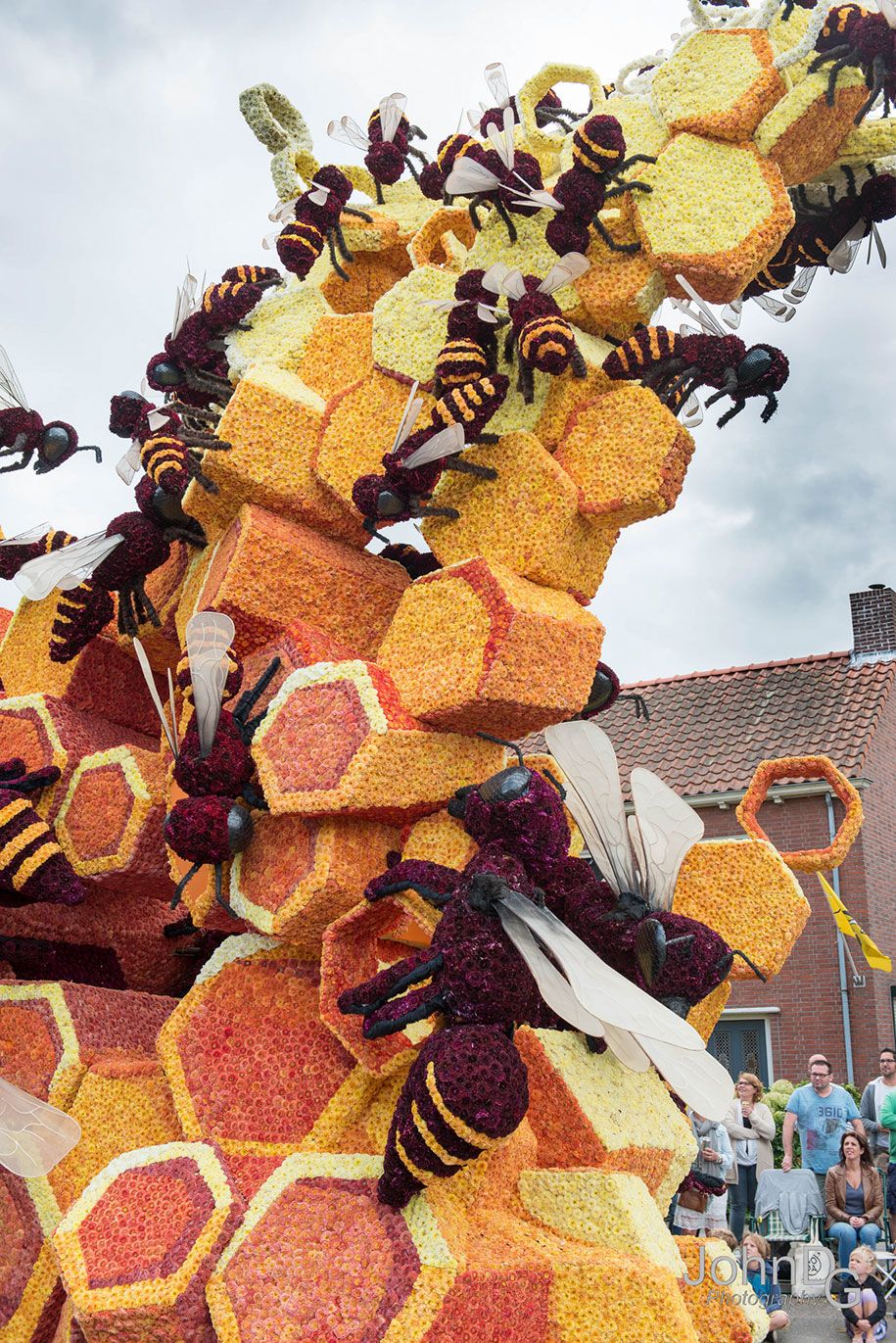 milžiniška gėlių skulptūra-paradas-corso-zundert-2016-olandija-32