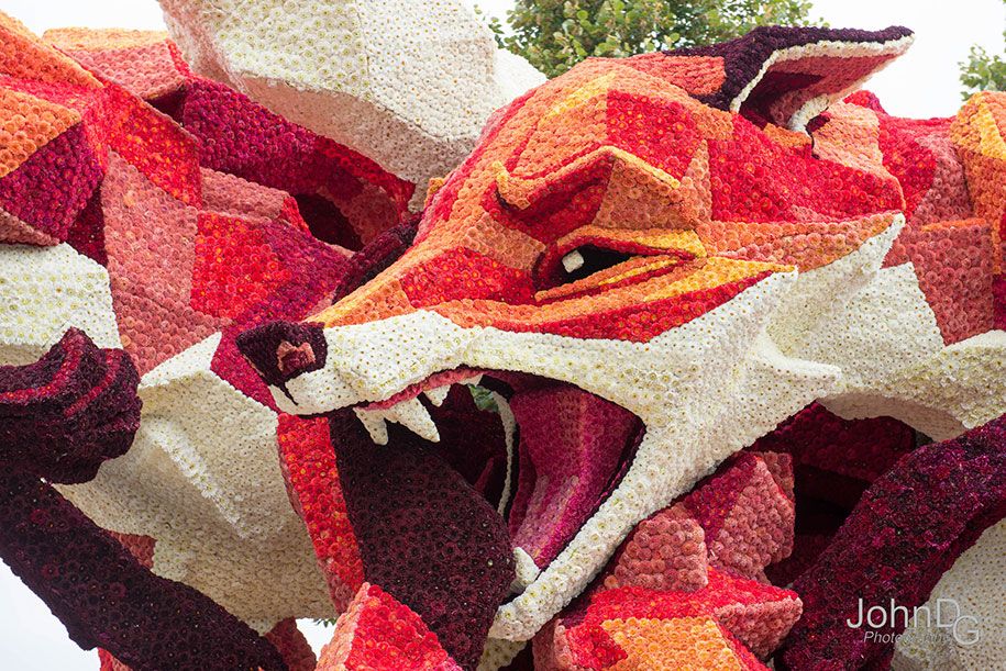거대 꽃 조각 퍼레이드 코르소 준 더트 2016- 네덜란드 -16