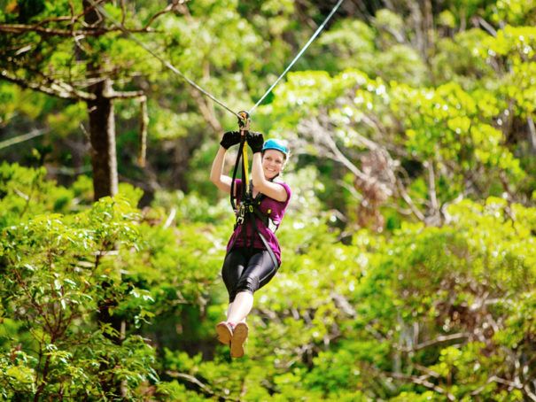 03. The Canyon Flyer - TreeTop Challenge, Australie