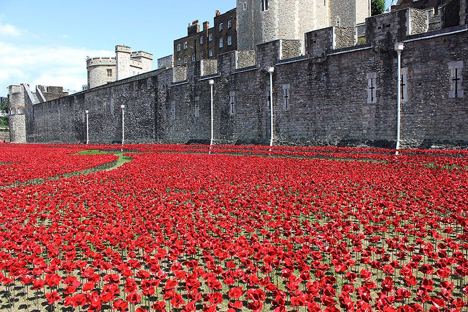 keramik-bunga poppy-instalasi-pertama-perang-dunia-london-tower-2