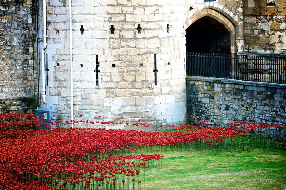 ceramic-poppies-install-world-first-war-london-tower-6