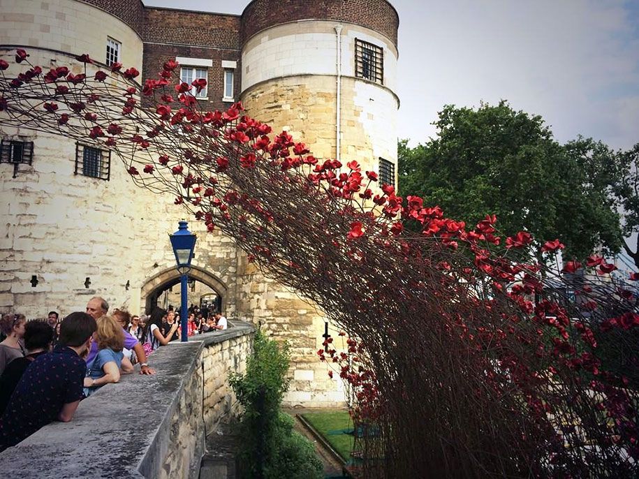 keramik-bunga poppy-instalasi-pertama-perang-dunia-london-tower-7