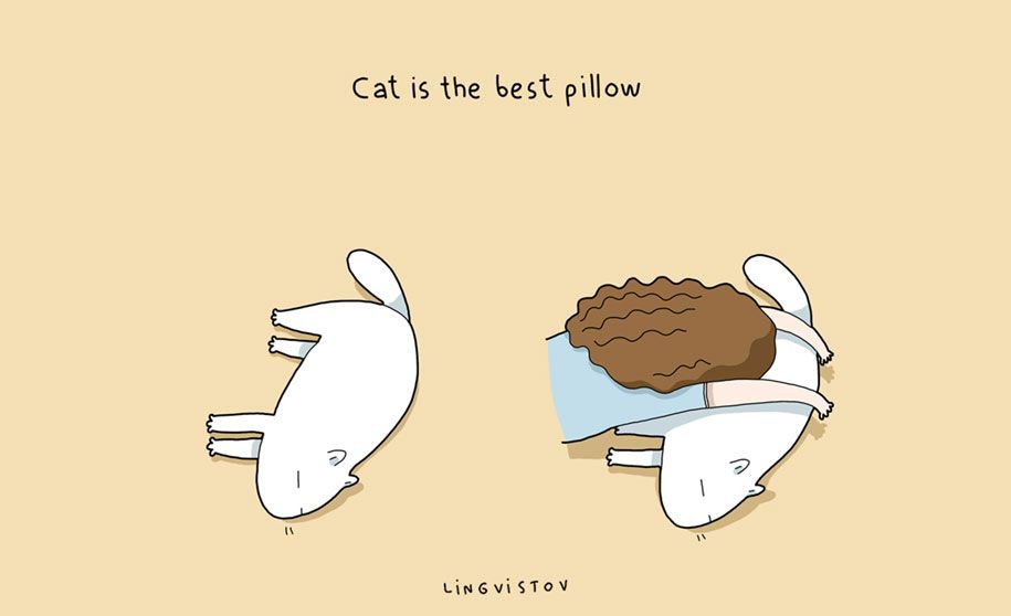vtipné ilustrácie-domáce zvieratá-výhody-mačky-lingvistov-2