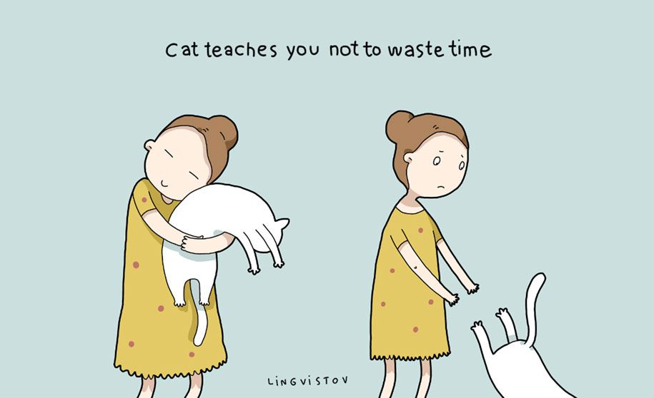 vtipné ilustrácie-domáce zvieratá-výhody-mačky-lingvistov-13