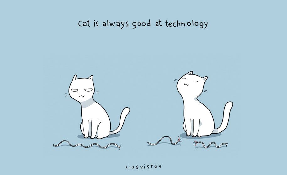 vtipné ilustrácie-domáce zvieratá-výhody-mačky-lingvistov-3