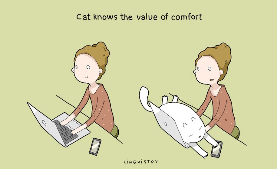 vtipné ilustrácie-domáce zvieratá-výhody-mačky-lingvistov-16