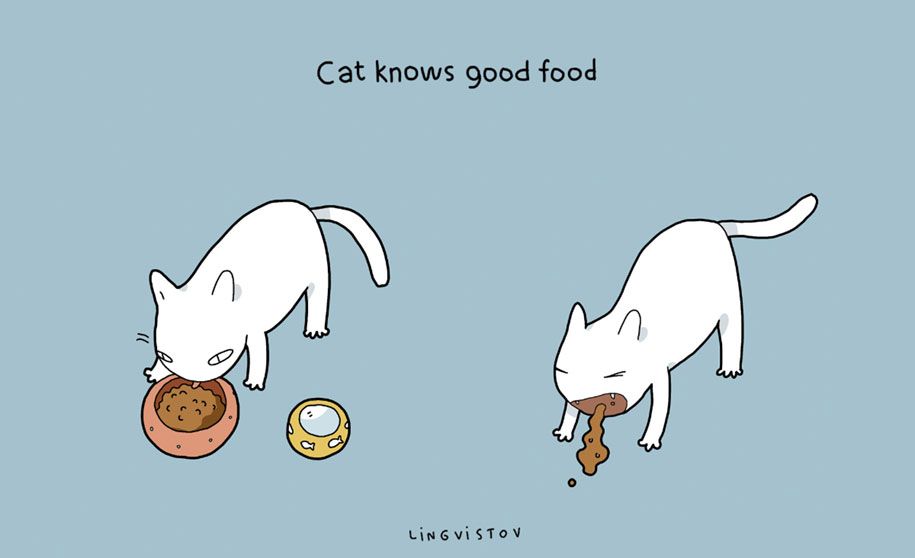 vtipné ilustrácie-domáce zvieratá-výhody-mačky-lingvistov-15