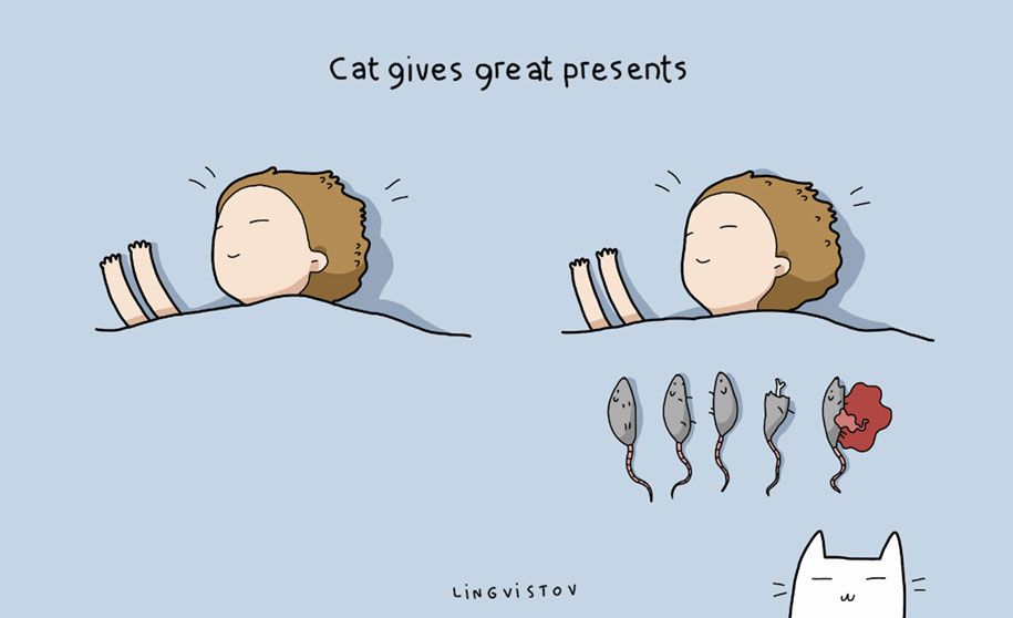vtipné ilustrácie-domáce zvieratá-výhody-mačky-lingvistov-14