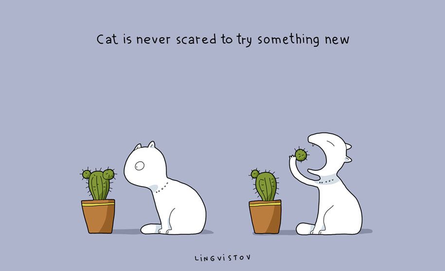 vtipné ilustrácie-domáce zvieratá-výhody-mačky-lingvistov-10