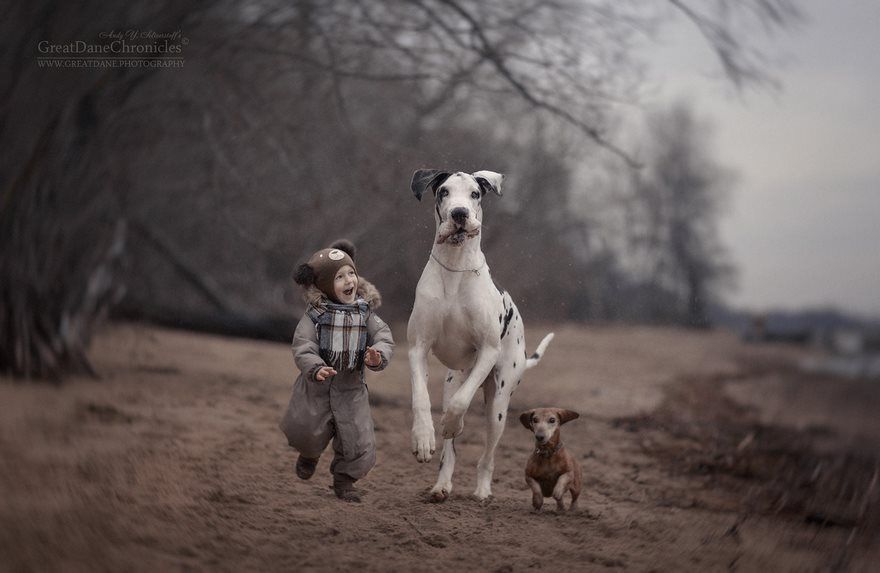 παιδιά-παιχνίδι-μεγάλα σκυλιά-φωτογραφία-andy-seliverstoff-10