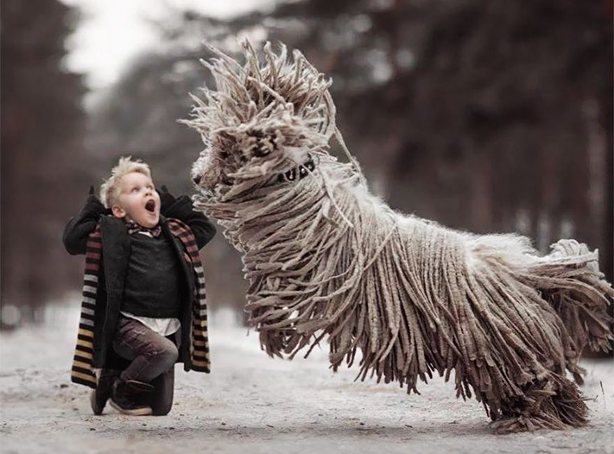 बच्चों को खेलने-बड़े कुत्तों-फोटोग्राफी-Andy-seliverstoff -5