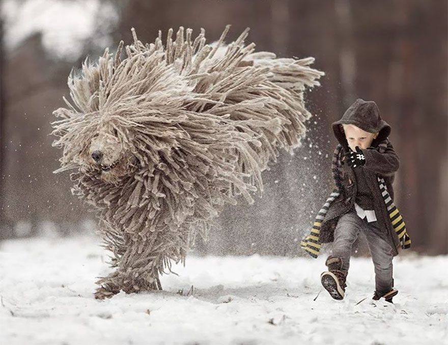 बच्चों को खेलने-बड़े कुत्तों-फोटोग्राफी-Andy-seliverstoff -4
