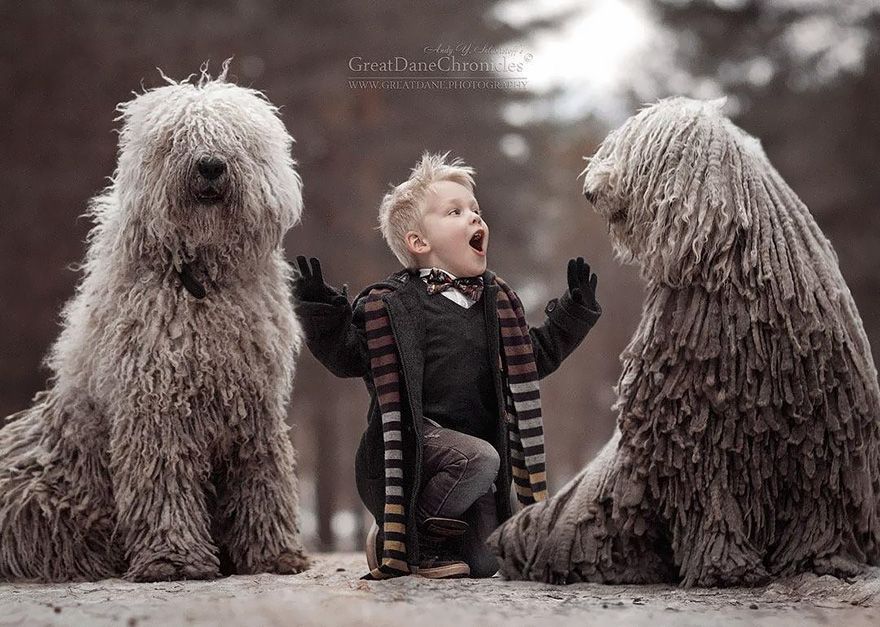بچوں کے-بڑے-کتوں-فوٹو گرافی-اینڈی سیلیو اسٹورف آف -8