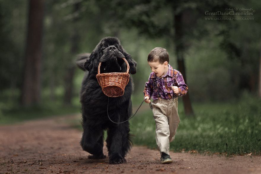 дети-игры-большие-собаки-фотография-энди-селиверстофф-7
