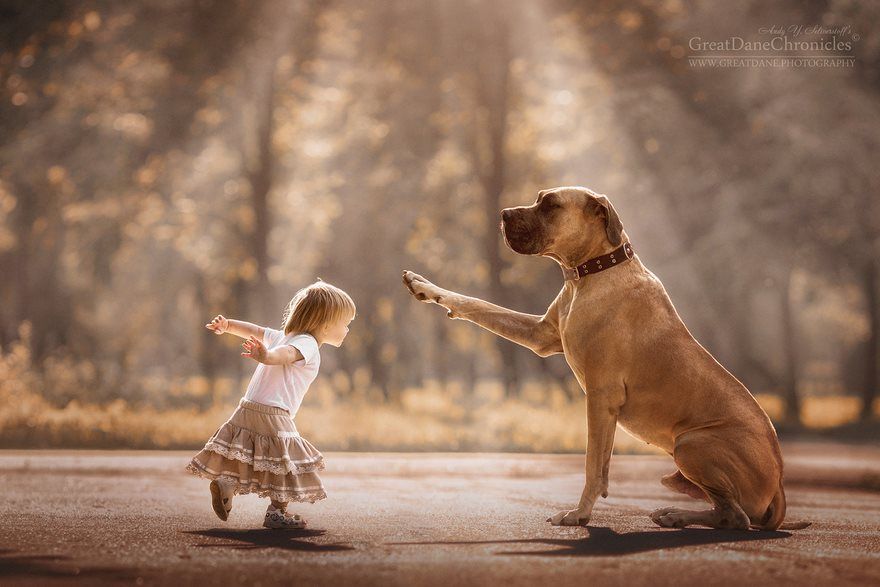 بچوں کے-بڑے-کتوں-فوٹو گرافی-اینڈی سیلیو اسٹورسٹف -9