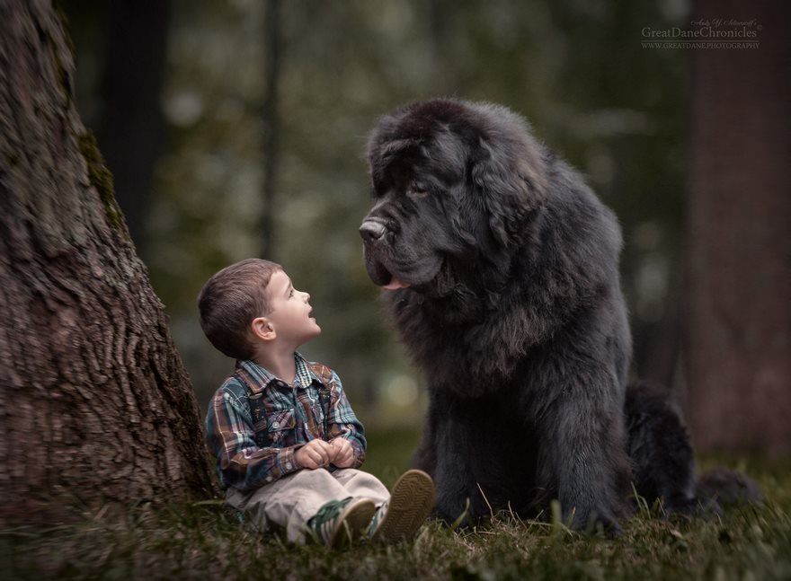 बच्चों को खेलने-बड़े कुत्तों-फोटोग्राफी-Andy-seliverstoff -2