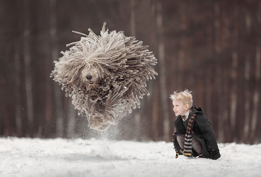 ילדים משחקים-כלבים גדולים-צילום-אנדי-סליברסטוף -3