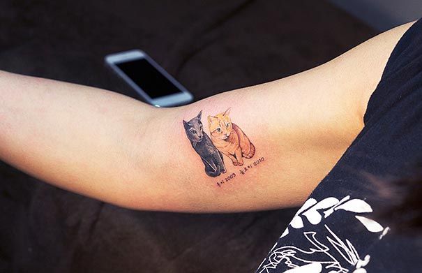кошка-татуировки-тенденция-нелегальные-салоны-южная-корея-18