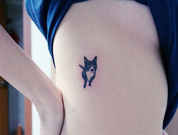 cat-tattoos-trend-illegal-parlors-south-korea-19