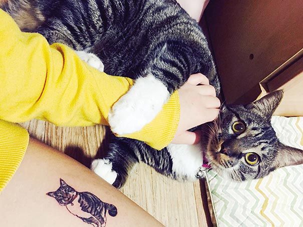 tatuaje-pisici-trend-ilegale-saloane-coreea-de-sud-1