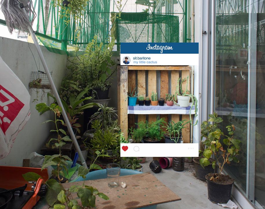 instagram-εικόνα-καλλιέργεια-αλήθεια-αργή ζωή-chompoo-baritone-thailand-10