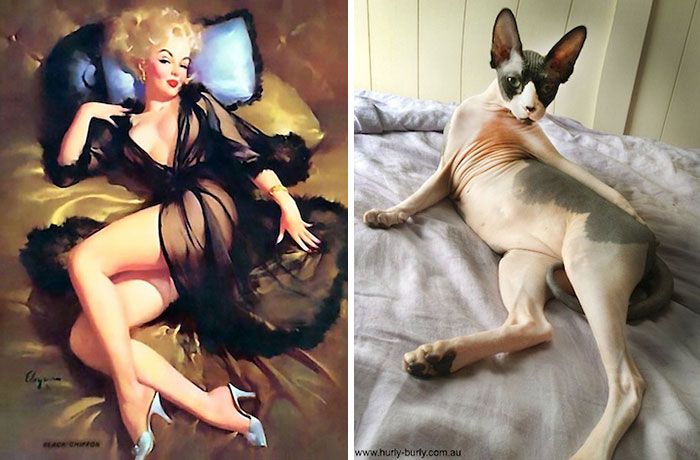 drôles-chats-vintage-pin-up-filles-10