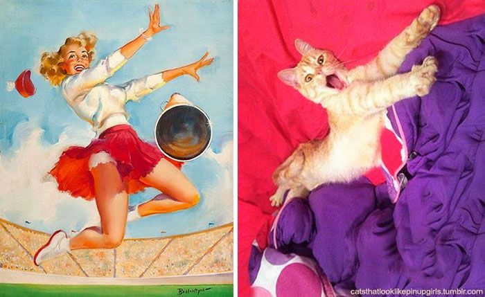 αστείο-γάτες-vintage-pin-up-girls-15