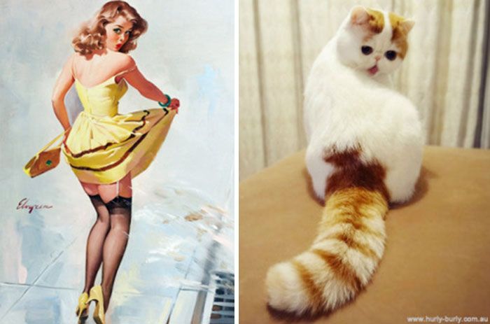 grappige-katten-vintage-pin-up-meisjes-12