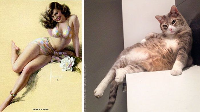 drôles-chats-vintage-pin-up-filles-7