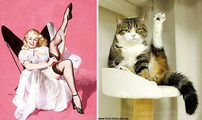 drôles-chats-vintage-pin-up-filles-3